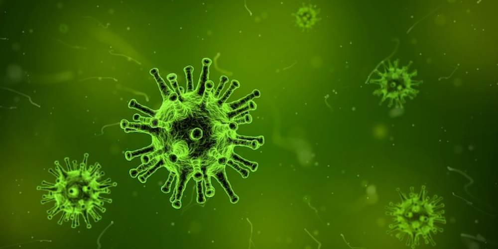 Flu Vaccines Stop Immunity to H1N1